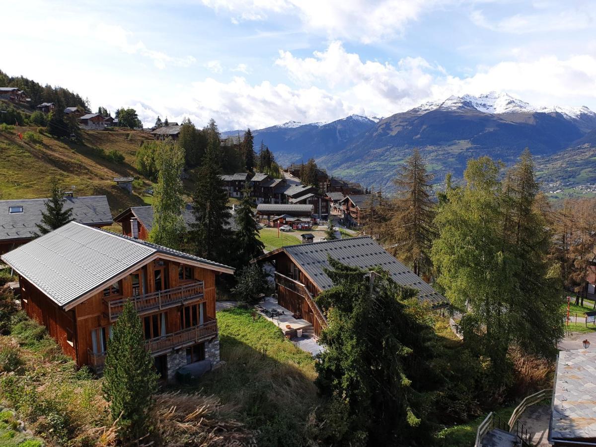 La Plagne - Les Coches - Pieds Des Pistes - 4 A 6 Personnes Leilighet Eksteriør bilde